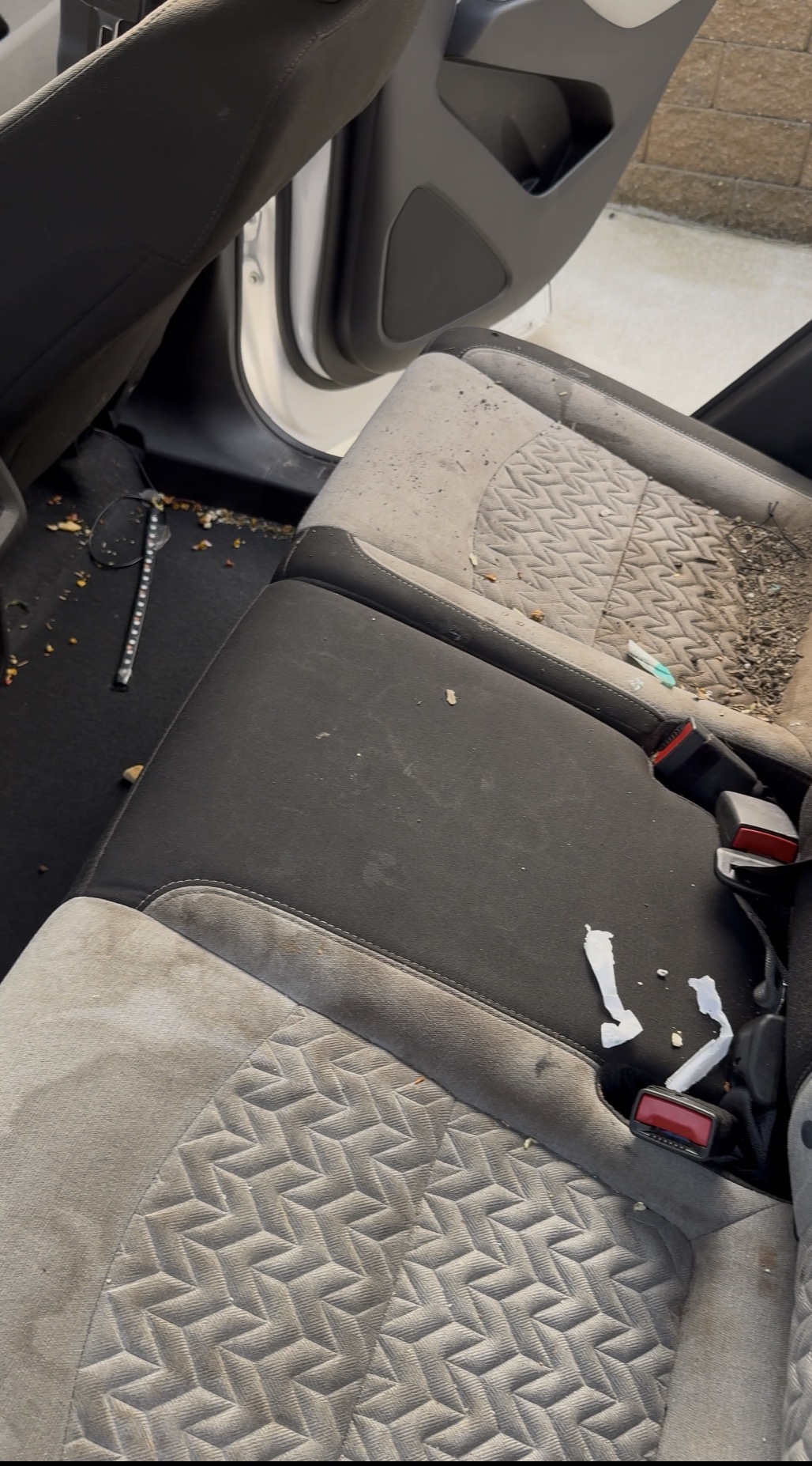 Dirty rear seats before interior detail